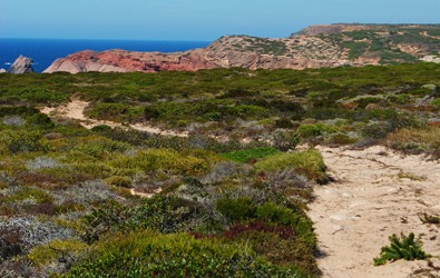 Praia do Beliche (Sagres, Vila do Bispo)